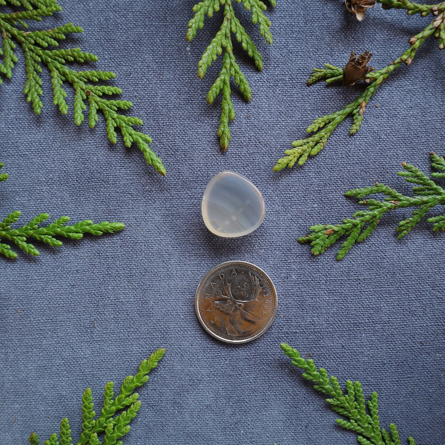 17.25ct Agate Cabochon, Fraser Lake, BC
