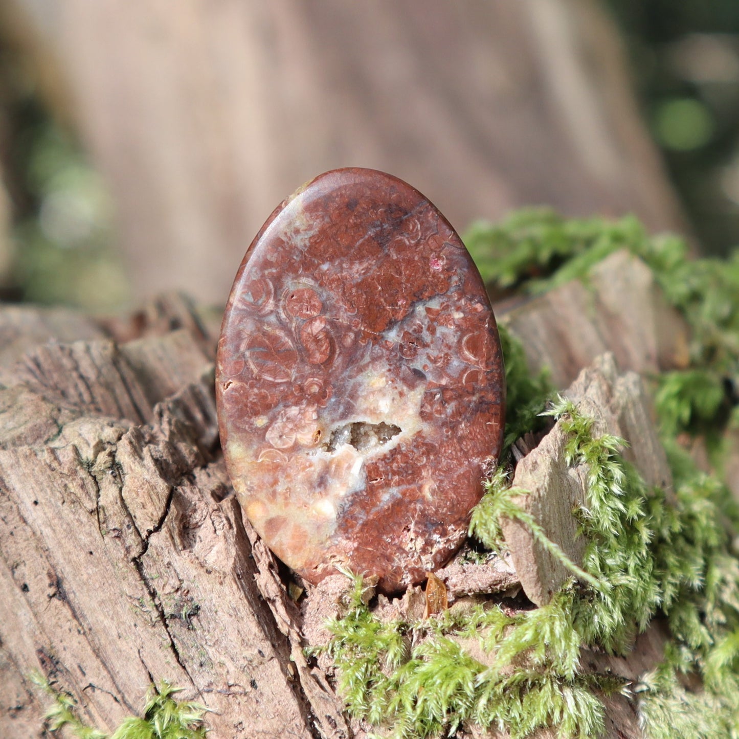 Orbicular Rhyolite freeform Cabochon BC Canada (matte back)