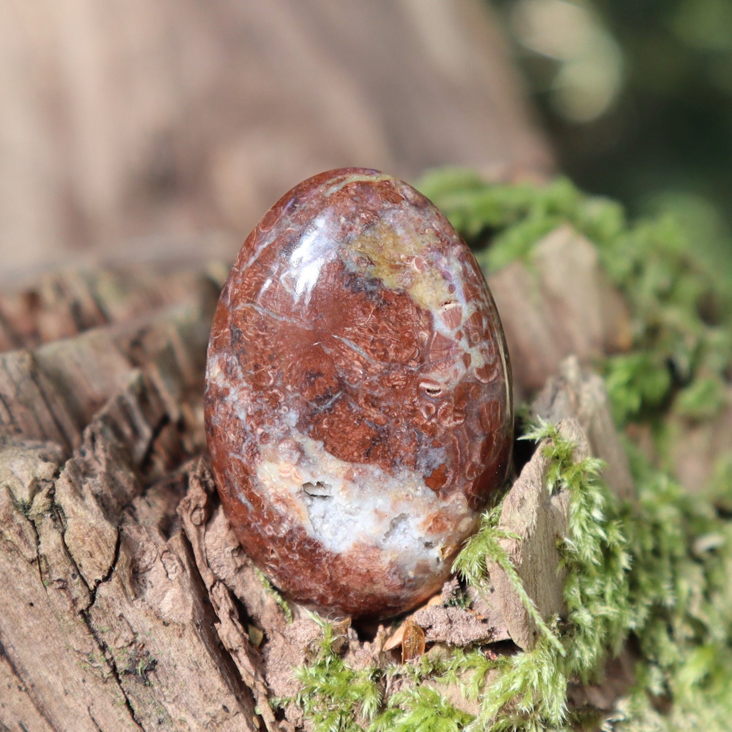 Orbicular Rhyolite freeform Cabochon BC Canada (matte back)