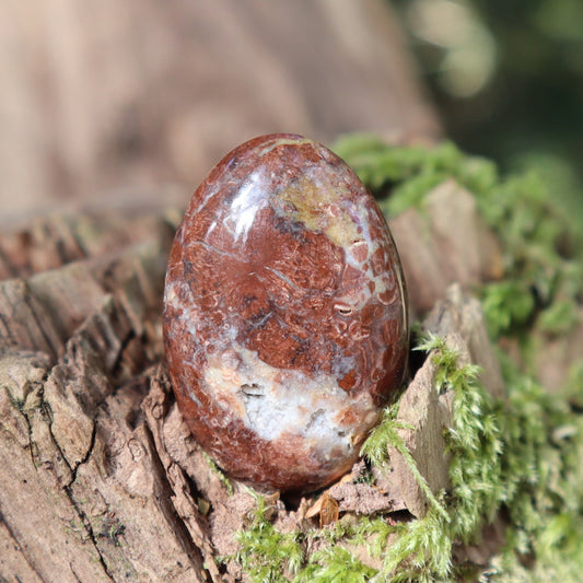 Orbicular Rhyolite freeform Cabochon BC Canada (matte back)